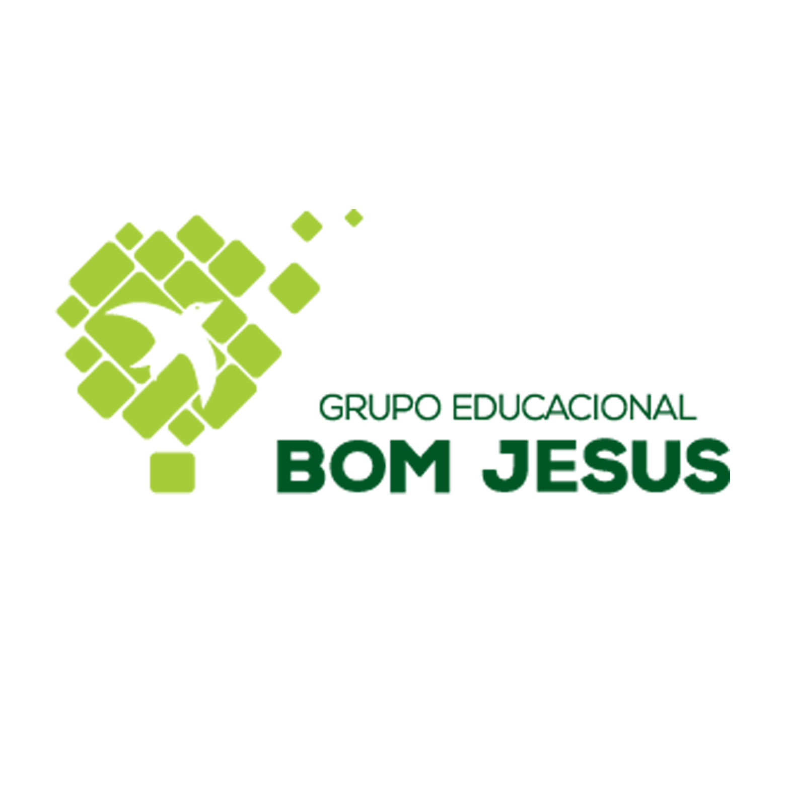 Bom Jesus