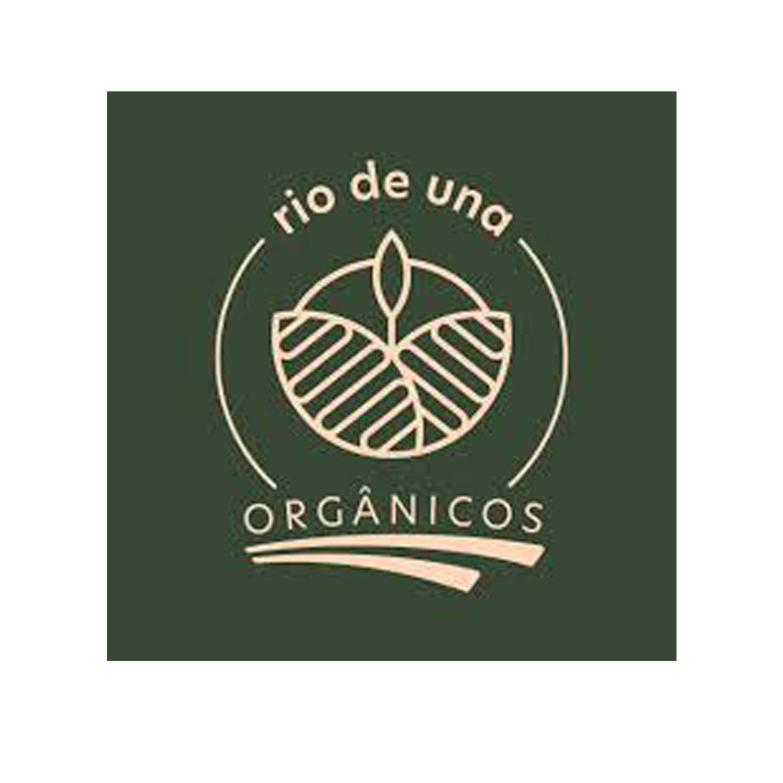 Rio de Una